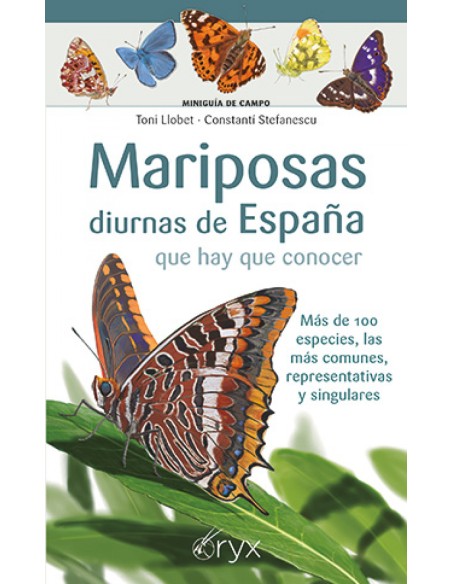 MARIPOSAS DIURNAS DE ESPANA QUE HAY QUE CONOCER