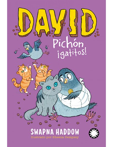 David Pichon gatitos