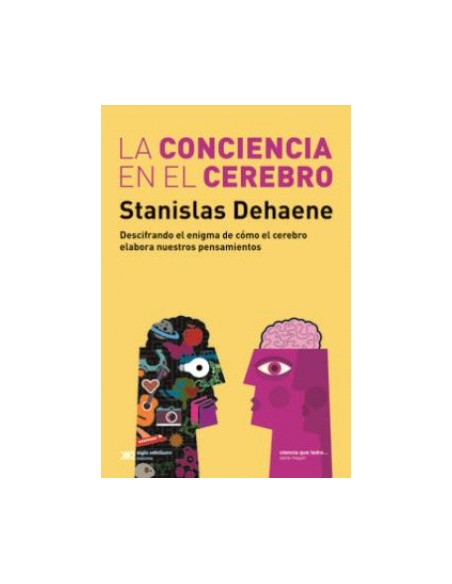 La conciencia en el cerebro