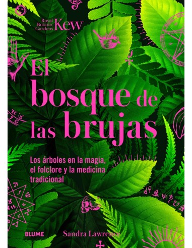 Bosque de las brujas