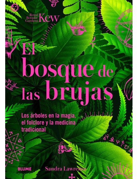 Bosque de las brujas