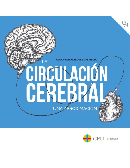 La circulacion cerebral