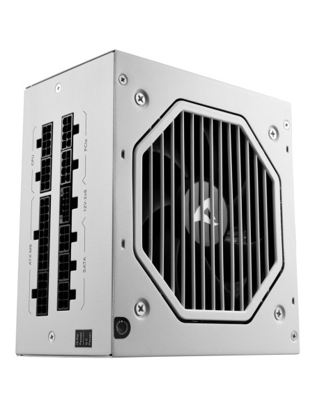 Rebel P20 unidad de fuente de alimentación 1000 W 24-pin ATX ATX Blanco