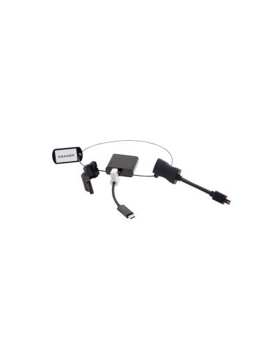 AD-RING-8 Adaptador gráfico USB Negro