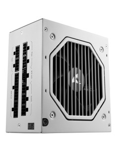 Rebel P20 unidad de fuente de alimentación 750 W 24-pin ATX ATX Blanco