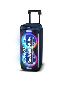 RB-SK220 altavoz portátil o de fiesta Altavoz portátil estéreo Negro 320 W