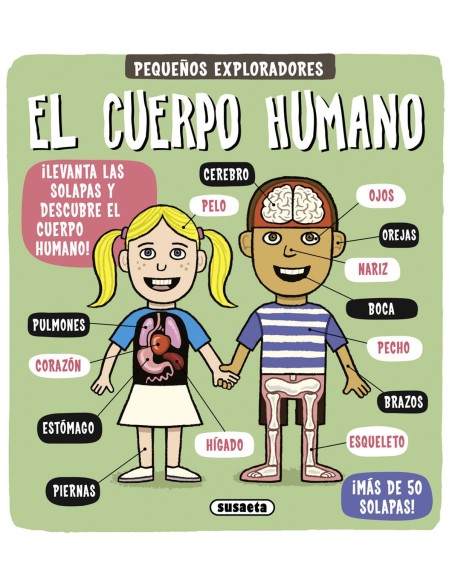 El cuerpo humano