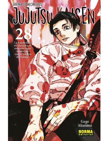 JUJUTSU KAISEN 28