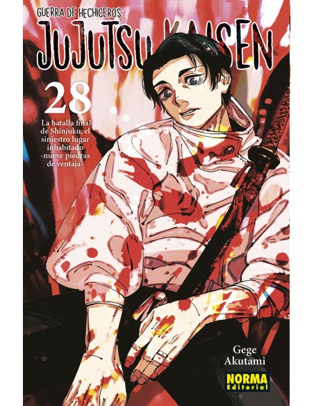 JUJUTSU KAISEN 28