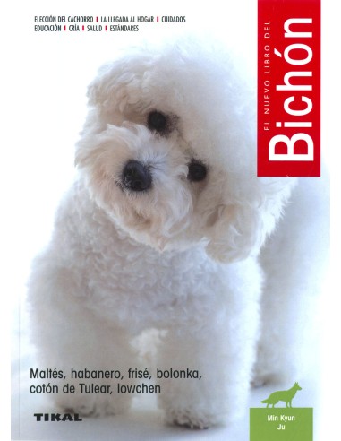 Bichon
