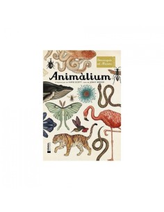 Animalium