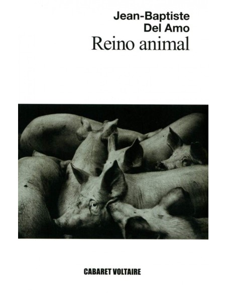 Reino animal