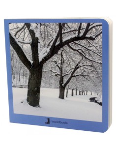 INVIERNO