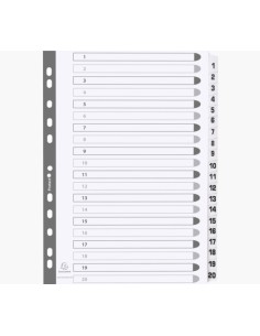 MWD1-20Z divisor Caja de cartón Blanco