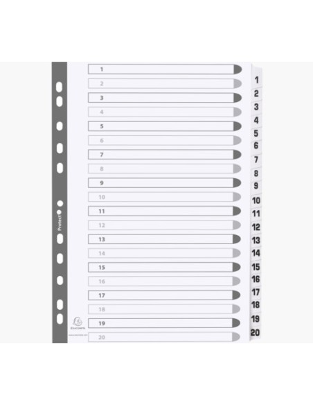MWD1-20Z divisor Caja de cartón Blanco