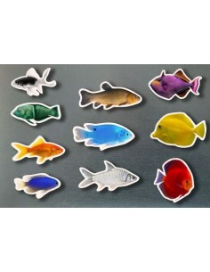 Magneticos peces de colores