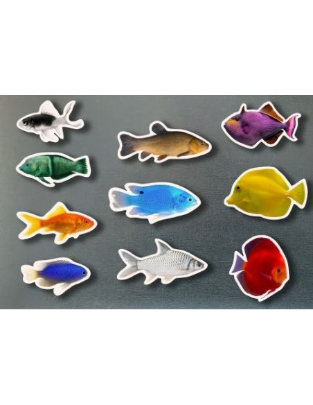 Magneticos peces de colores