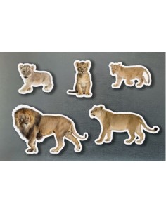 Magneticos familias leones