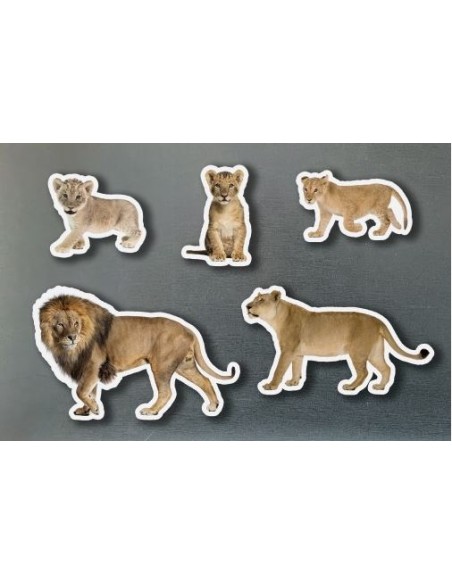 Magneticos familias leones