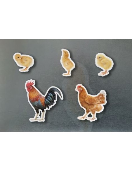 Magneticos familia gallinas