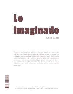 Lo imaginado