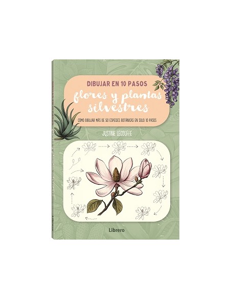 DIBUJAR FLORES Y PLANTAS SILVESTRES EN 10 PASOS