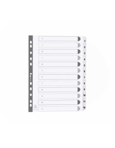 SEPARAD. EXACOMPTA A4 1-12 CARTULINA BL MWD1-12Z