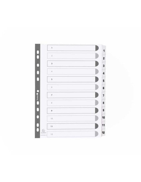 SEPARAD. EXACOMPTA A4 1-12 CARTULINA BL MWD1-12Z