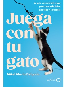 Juega con tu gato