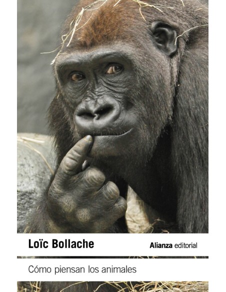 Como piensan los animales