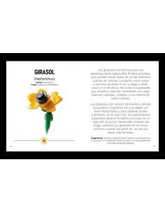 LEGO Botanicals Flores silvestres