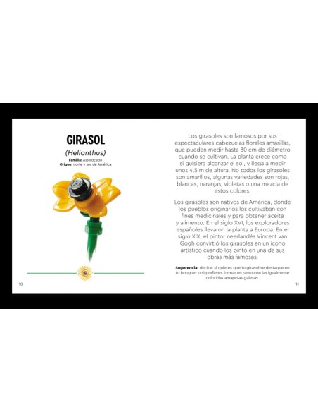 LEGO Botanicals Flores silvestres LEGO Botanicals Flores silvestres