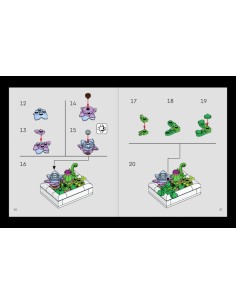 LEGO Botanicals Suculentas
