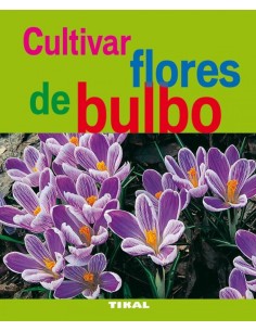 Cultivar flores de bulbo