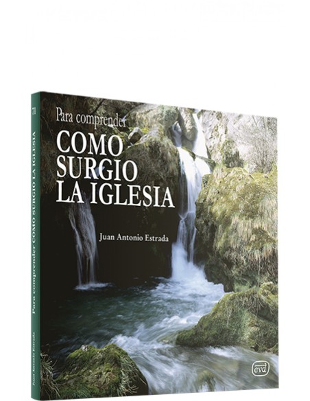 Para comprender como surgio Iglesia