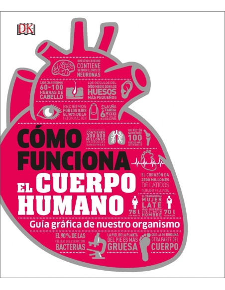 COMO FUNCIONA EL CUERPO HUMANO