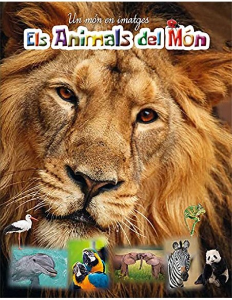 Els animals del mon Els animals del mon