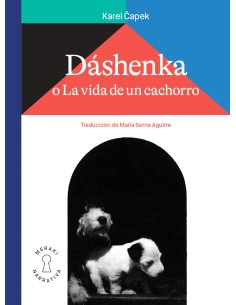 Dashenka