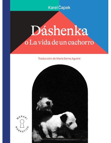 Dashenka