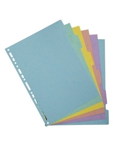 SEPARADORES EXACOMPTA CART. A4 400g 6 ps - Pack de 25 unidades