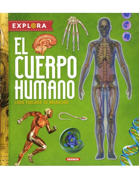 El cuerpo humano El cuerpo humano