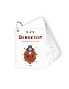 Fijate insectos