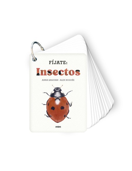 Fijate insectos