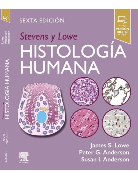 Stevens y Lowe Histologia humana