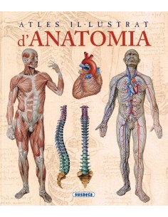 Atles il lustrat d anatomia