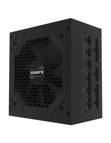 P850GM unidad de fuente de alimentación 850 W 20+4 pin ATX ATX Negro