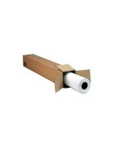 Película MetallicProof® de 24" x 30,5 m (para SP WT7900)