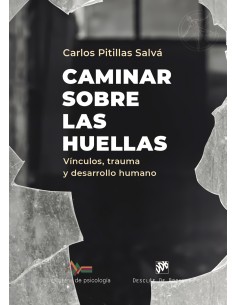 VIDEO GIRL AI No 9 LA DECLARACION