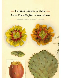 Com l oculta flor d un cactus
