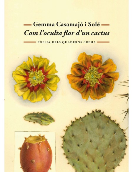 Com l oculta flor d un cactus